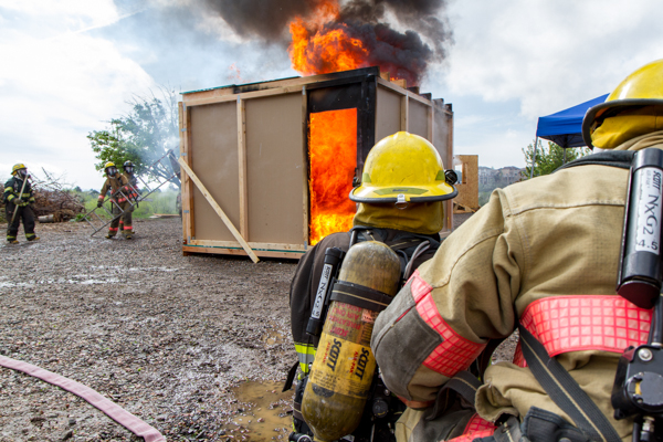 Industry Mentorship Program